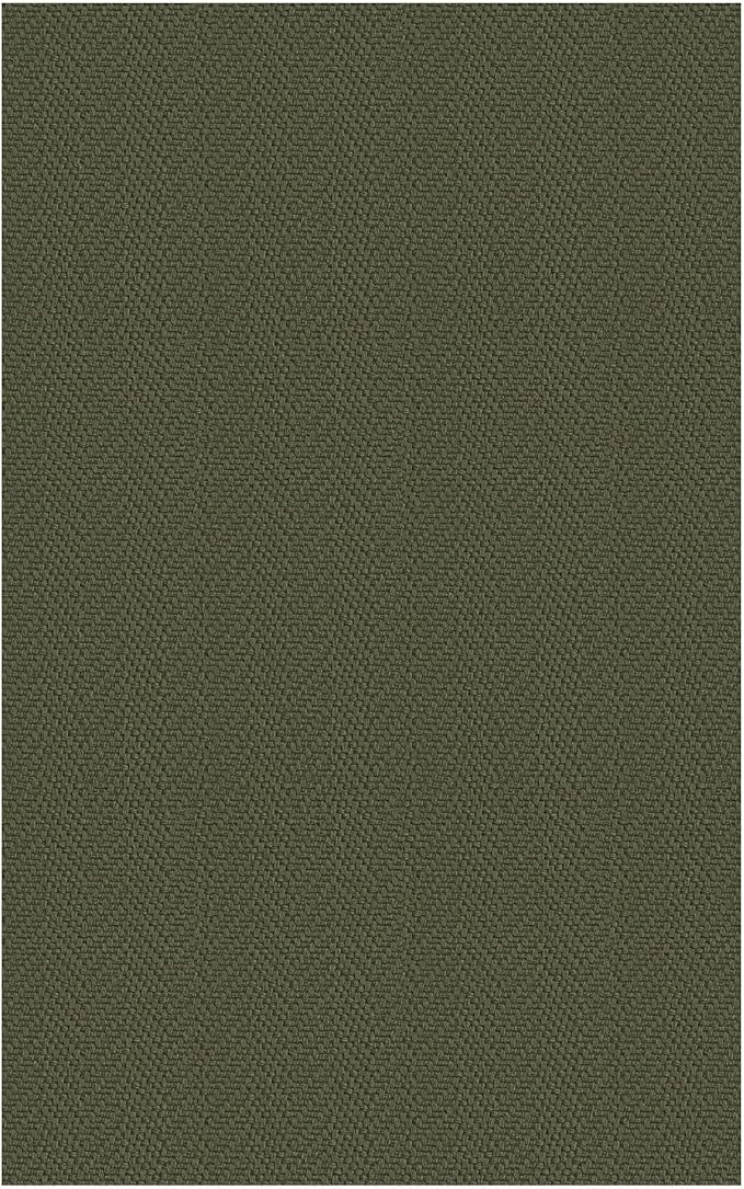 Small Braided Rugs 2x3 Ft Area Rugs for Entryway Boho Washable Rug Throw Rugs with Rubber Backing Cotton Woven Door Mat Indoor Entrance Front Door Rugs for Foyer Bathroom Kitchen, Dark Green