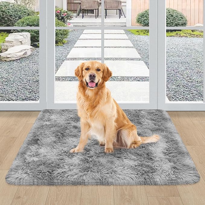 2x3 ft Shaggy Tie Dyed Grey Rug Small,Fluffy Furry Area Rugs for Living Room Door Entryway Indoor Inside Front Entrance Dog Mat Anti Skid Extra Comfy Fuzzy Floor Carpet for Home Decorative