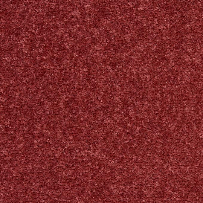 Nourison Essentials Indoor/Outdoor Brick Red 4' x Round Area Rug, Easy Cleaning, Non Shedding, Bed Room, Living Room, Dining Room, Backyard, Deck, Patio (4 Round)