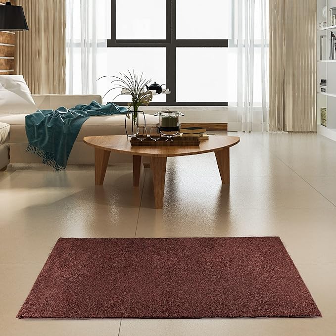 Modern Indoor/Outdoor Commercial Solid Color Rug - Chocolate, 9' x 13', Rectangular, Pet and Kids Friendly Rug. Made in USA, Area Rugs Great for Kids, Pets, Event, Wedding