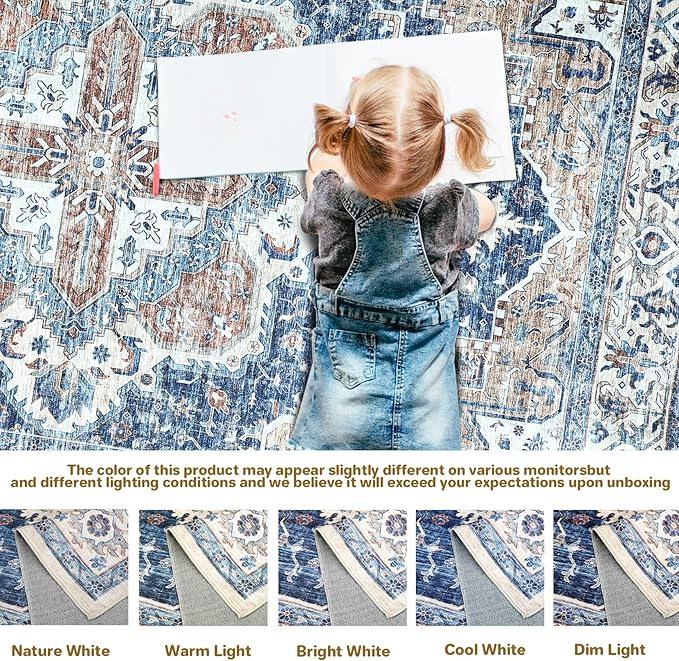 Washable Rugs 4x6, Stain Resistant Lightweight Anti-Skid Rugs for Living Room, Distressed Vintage Boho Rug Floor Carpet Bedroom Dining Room Office