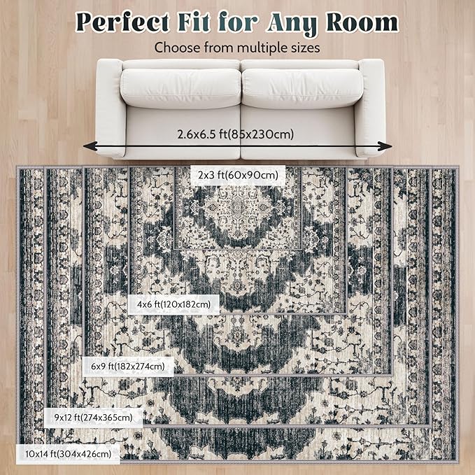 4x6 Area Rugs Washable Rug: Large Vintage Living Room Rug with Non-Slip Backing Low Pile Rugs Soft Indoor Floor Thin Carpet Non Shedding Neutral Carpets for Bedroom Dining Room Farmhouse Nursery Black