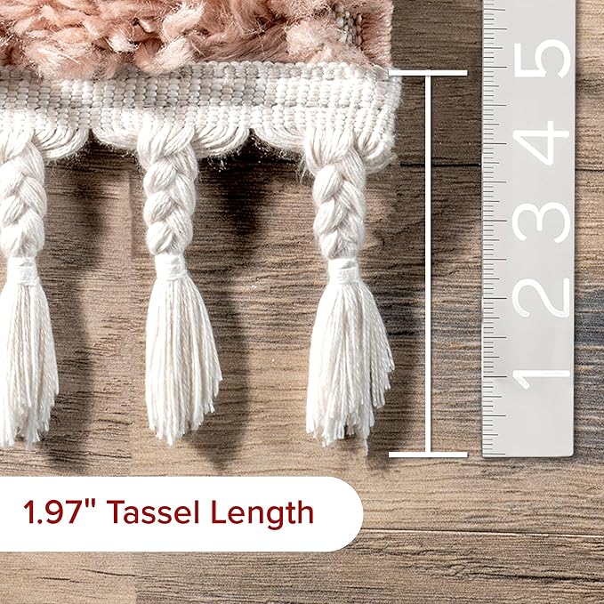nuLOOM Neva Modern Tasseled Shag Accent Rug, 2' x 3', Pink, Rectangular, 1.55" Thick