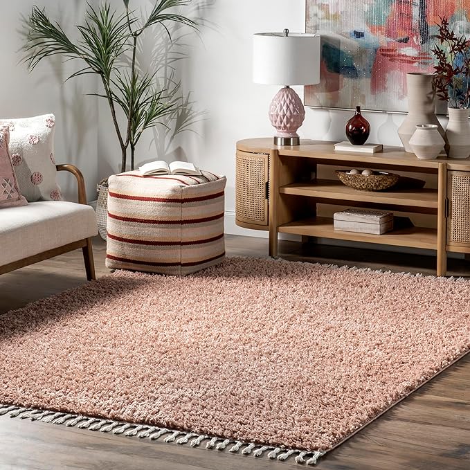 nuLOOM Neva Modern Tasseled Shag Area Rug, 3x5, Pink