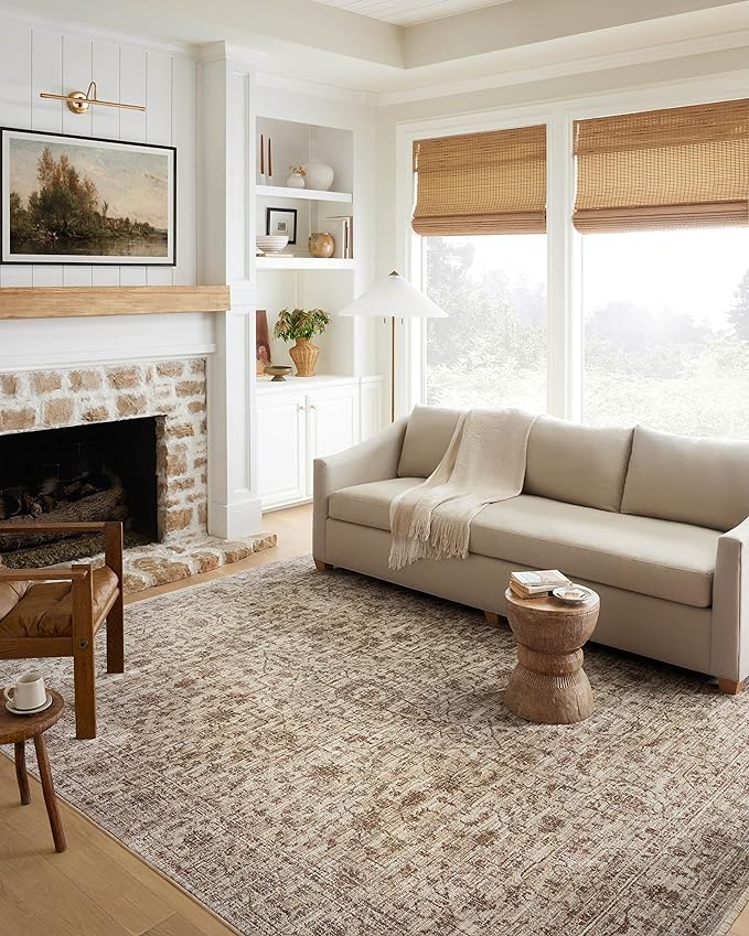 Loloi Sorrento Collection 3'-11" x 5'-7" Accent Rug in Bark/Natural - Vintage Inspired Patterned Area Rug, Unique Area Rug for Living Room, Bedroom, Dining Area