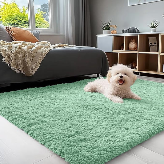 OLANLY 3x5 Machine Washable Small Bedside Rug, Soft Fluffy Shaggy Rugs for Living Room, Bedroom, Indoor Floor Carpet for Kids Girls and Boys, Preppy Dorms, Nursery, Home Decor Aesthetic, Mint Green