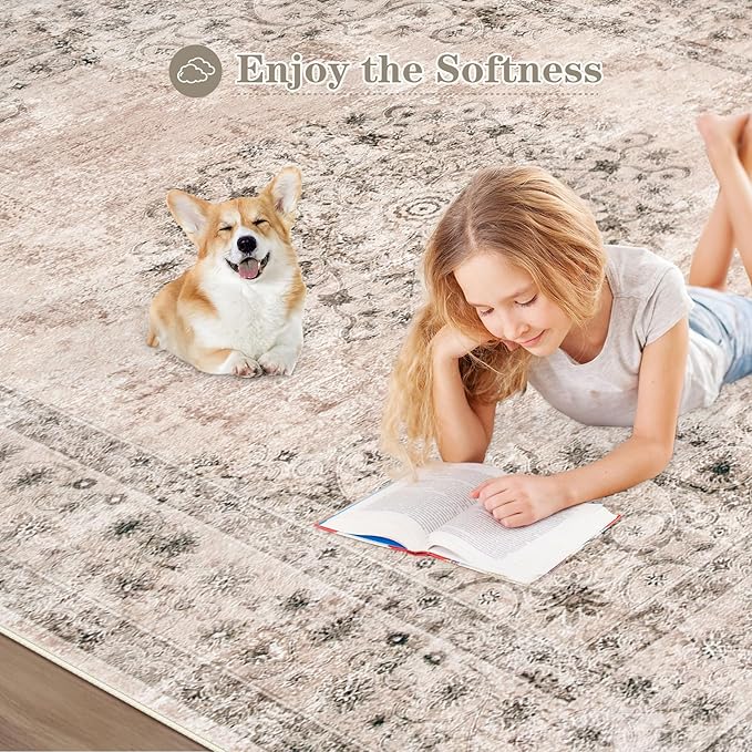 2x3 Area Rugs for Entryway: Washable Vintage Rug Indoor Soft Non-Slip Distressed Doormat for Bedroom Bathroom Kitchen Home Office (Brown, 2'x3')