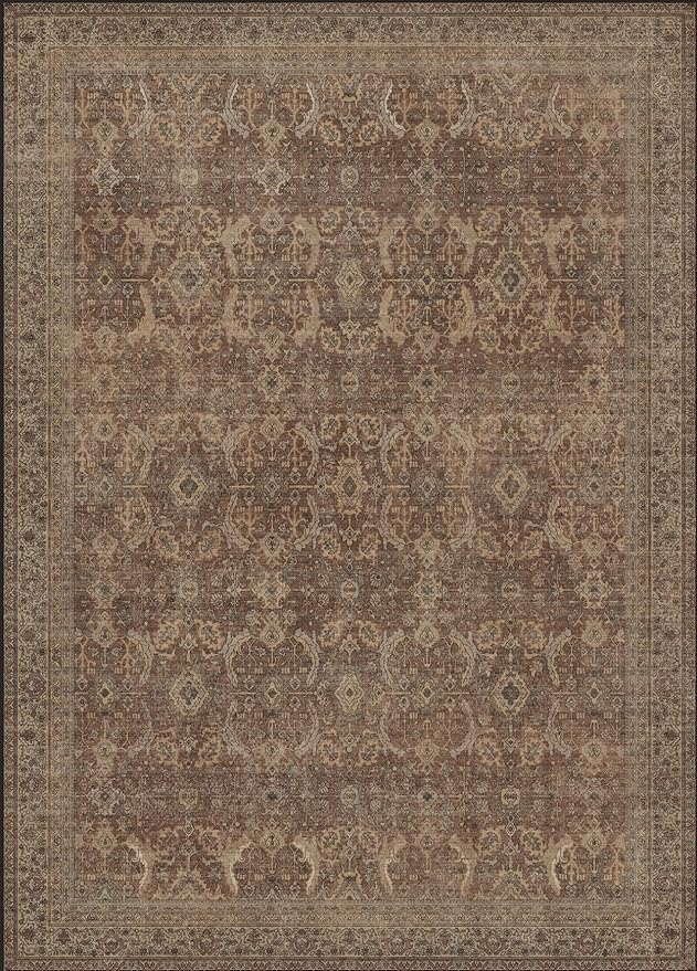 10X14 Area Rugs Machine Washable Rugs for Living Room, Vintage Boho Large Rugs for Bedroom Dining Room, Non Slip Indoor Soft Distressed Lightweight Thin Low Pile Carpet, Rustic Brown