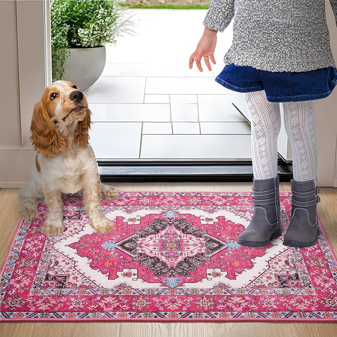Noahas Front Door Mat Indoor Outdoor Entrance,2x3 Small Hot Pink Area Rugs Vintage Machine Washable Rugs Non-Slip Low Pile Carpets for Entryway Porch Bathroom Kitchen Bedroom Laundry Room Home Decor
