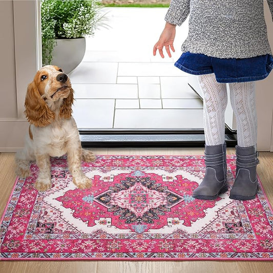 Noahas Front Door Mat Indoor Outdoor Entrance,2x3 Small Hot Pink Area Rugs Vintage Machine Washable Rugs Non-Slip Low Pile Carpets for Entryway Porch Bathroom Kitchen Bedroom Laundry Room Home Decor