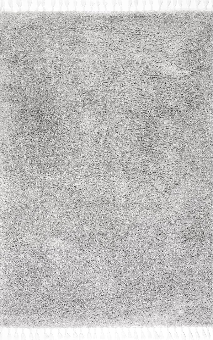 nuLOOM Neva Modern Tasseled Shag Accent Rug, 2x3, Grey