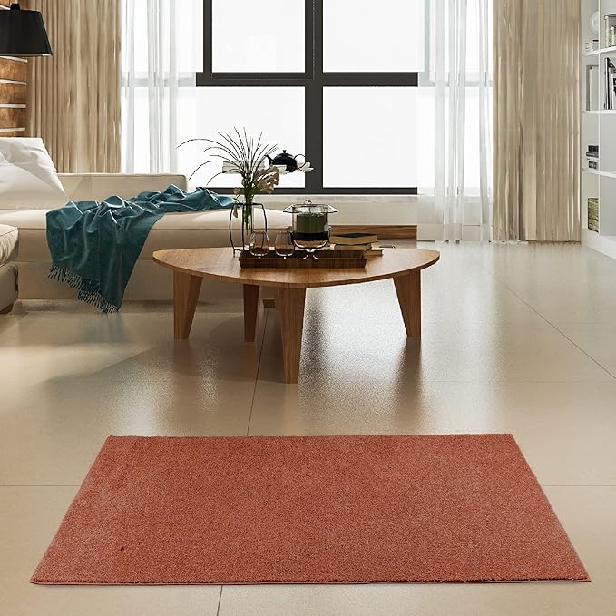 Furnish my Place Modern Plush Solid Color Rug - Rust, 10' x 11', Pet and Kids Friendly Rug. Made in USA, Rectangle, Area Rugs Great for Kids, Pets, Event, Wedding