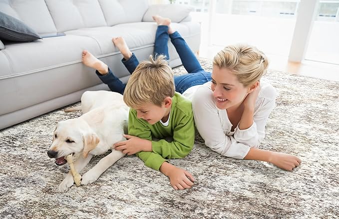 Area Rugs for Living Room: 6x9 Washable Neutral Abstract Rug for Bedroom Large Soft Modern Dining Room Rugs Indoor Floor Low Pile Carpet for Home Office Nursery - Brown Grey