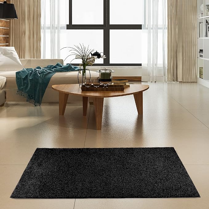 Furnish my Place Modern Indoor/Outdoor Commercial Solid Color Rug - Black, 12' x 18', Rectangular, Pet and Kids Friendly Rug. Made in USA, Area Rugs Great for Kids, Pets, Event, Wedding