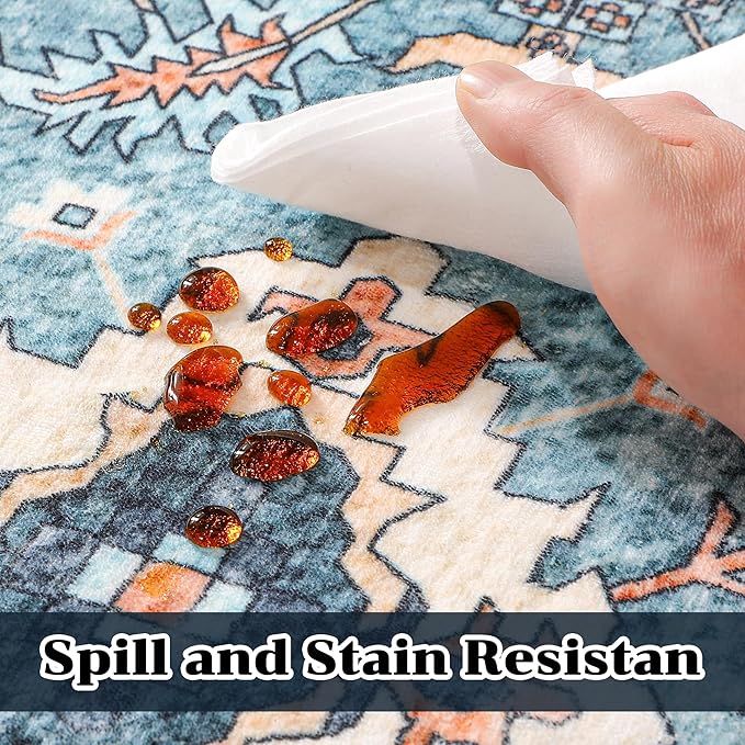 2x3 Area Rugs, Washable Entry Rug Indoor Door Mat Stain Resistant Non-Slip Non-Shedding Carpet Vintage Boho Rug Small Bath Mat Low Pile Rug for Entryway Kitchen Laundry Bathroom