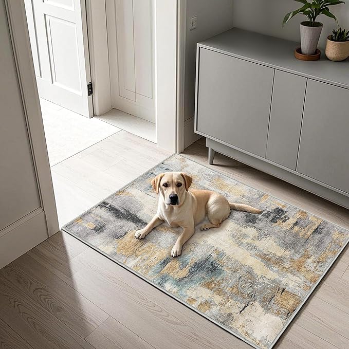 2x3 Washable Indoor Door Mat - Grey Multi Modern Abstract Rugs for Entryway, Soft Small Area Rug, Non-Slip Low-Pile Thin Door Mat for Inside Entry, Rugs for Indoor Front Entrance Kitchen