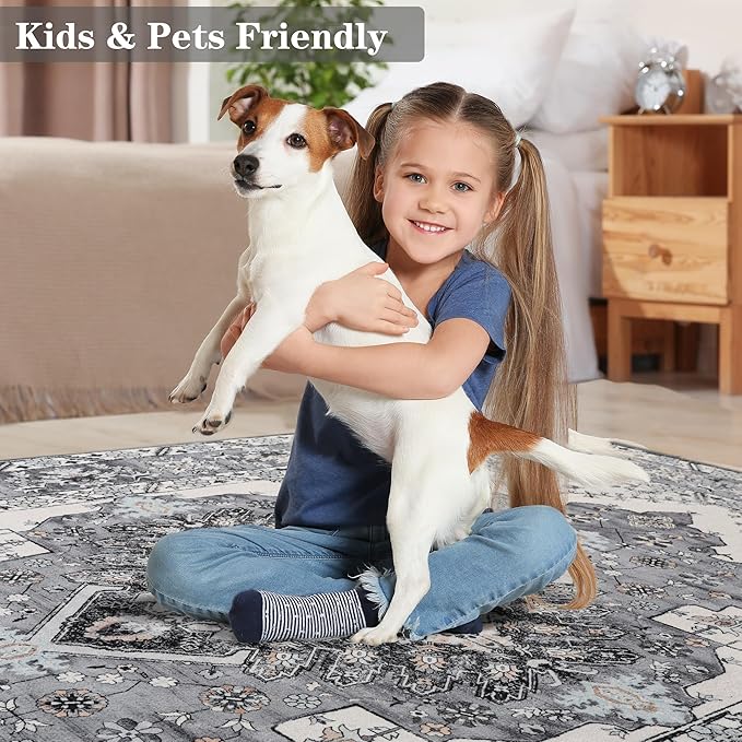 Noahas Front Door Mat Indoor Outdoor Entrance,2x3 Small Grey and Blue Area Rugs Vintage Machine Washable Rugs Non-Slip Low Pile Carpets for Entryway Bathroom Kitchen Bedroom Laundry Room Home Decor