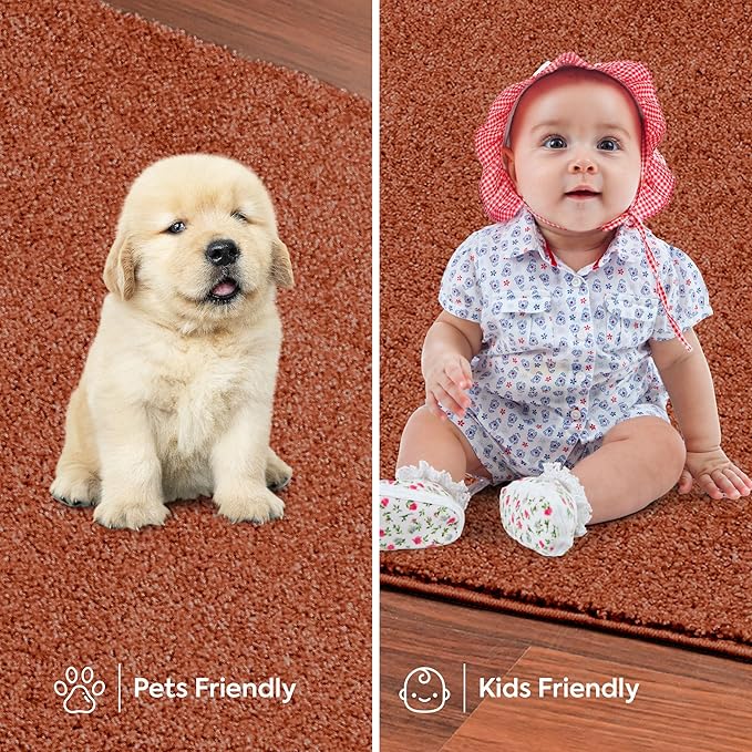 Solid Color Area Rugs Rust - 4' Pentagon, Indoor, Stain & Fade Resistant, Perfect for Living Room, Bedroom, Dining Room, Entryway, Doorway, Pet & Kids Friendly Rug, Wedding, Made in USA