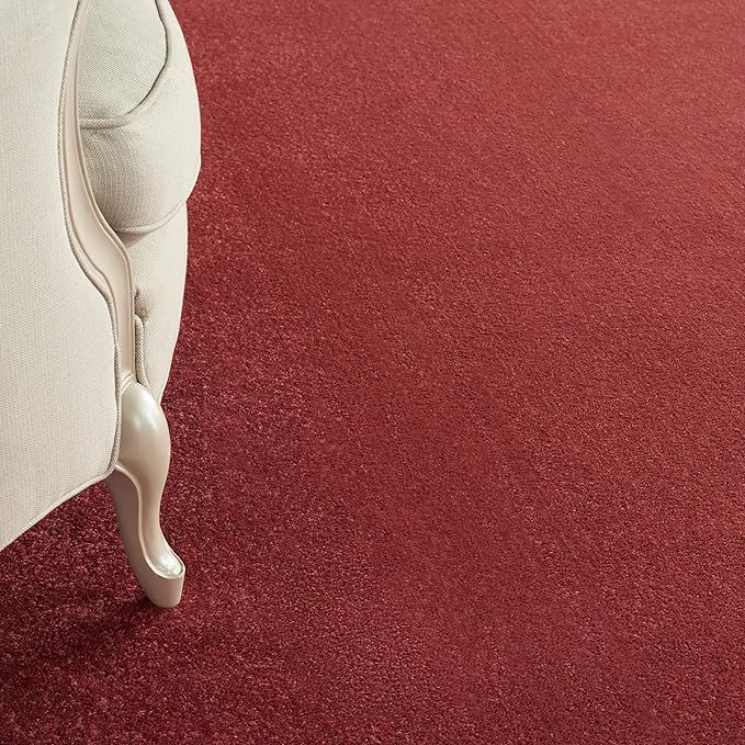 Nourison Essentials Indoor/Outdoor Brick Red 8' x 10' Area Rug, Easy Cleaning, Non Shedding, Bed Room, Living Room, Dining Room, Backyard, Deck, Patio (8x10)