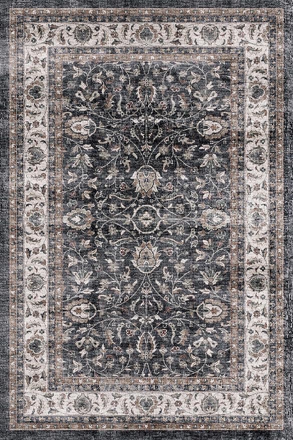Dripex 2x3 Area Rugs, Machine Washable Non Slip Boho Rugs,Distressed Small Entryway Rug Doormat, No Pile Lightweight Vintage Rug, Floor Carpet for Front Entrance Kitchen Bathroom,Blue and Brown