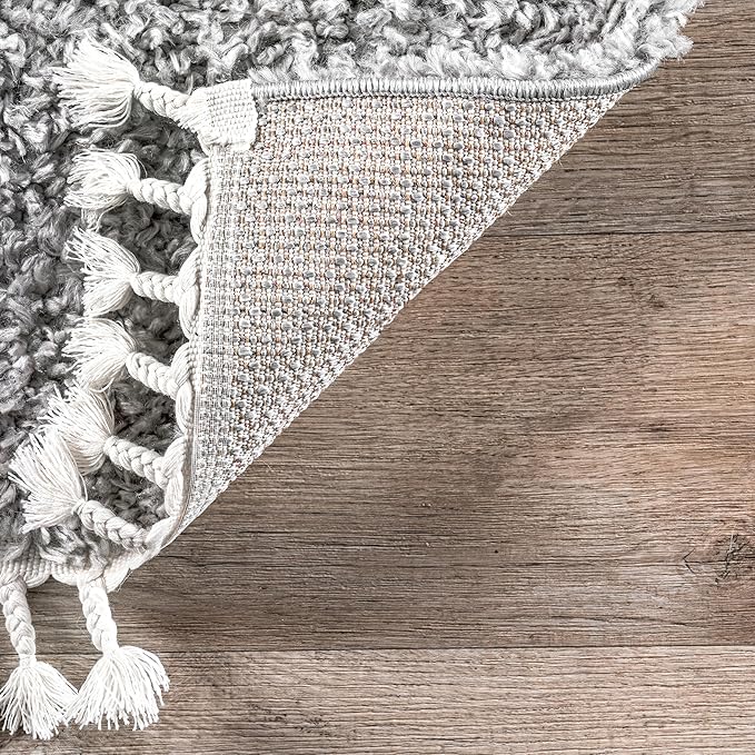 nuLOOM Neva Modern Tasseled Shag Accent Rug, 2x3, Grey