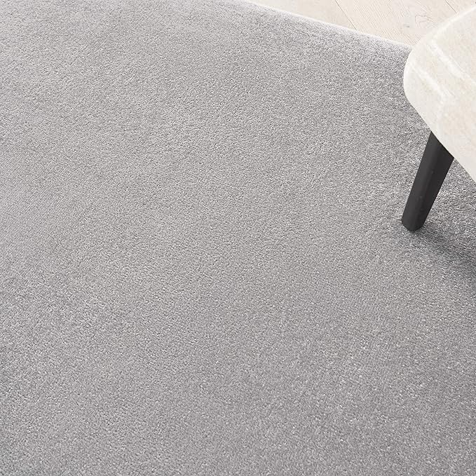 Nourison Essentials Indoor/Outdoor Silver Grey 6' x 9' Area Rug, Easy Cleaning, Non Shedding, Bed Room, Living Room, Dining Room, Backyard, Deck, Patio (6x9)