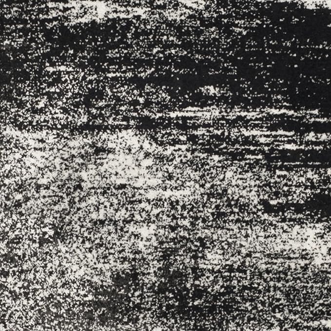 SAFAVIEH Adirondack Collection Accent Rug - 4' x 6', Silver & Black, Modern Abstract Design, Non-Shedding & Easy Care, Ideal for High Traffic Areas in Entryway, Living Room, Bedroom (ADR112A)