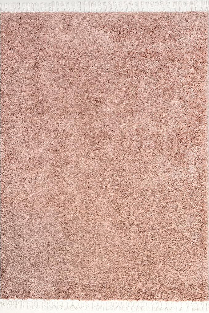 nuLOOM Neva Modern Tasseled Shag Accent Rug, 2' x 3', Pink, Rectangular, 1.55" Thick