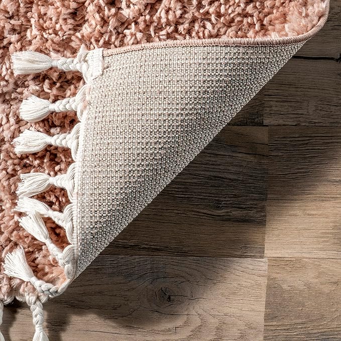 nuLOOM Neva Modern Tasseled Shag Area Rug, 3x5, Pink