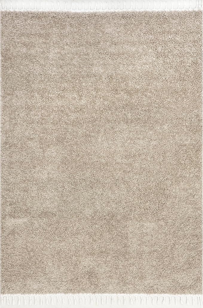 nuLOOM Neva Modern Tasseled Shag Area Rug, 10x14, Beige