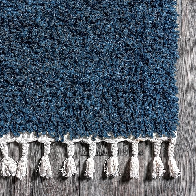 nuLOOM Neva Modern Tasseled Shag Area Rug, 3x5, Blue