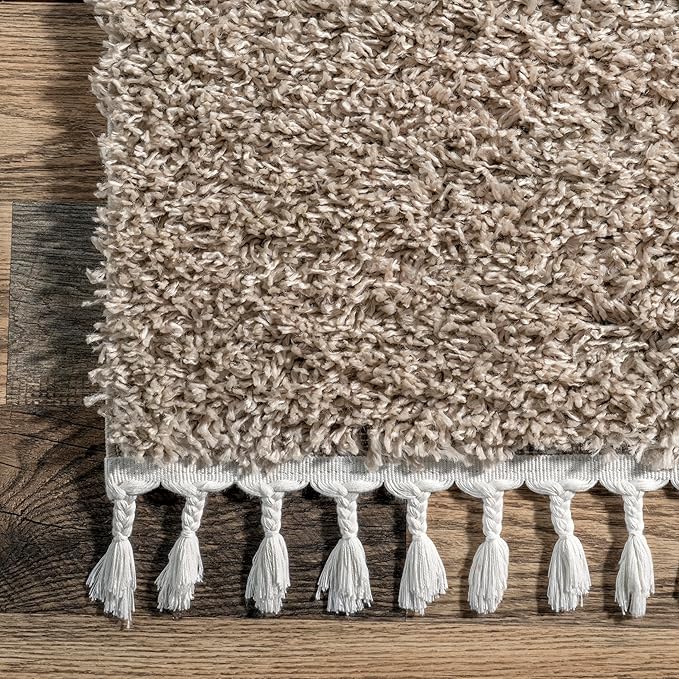 nuLOOM Neva Modern Tasseled Shag Area Rug, 10x14, Beige