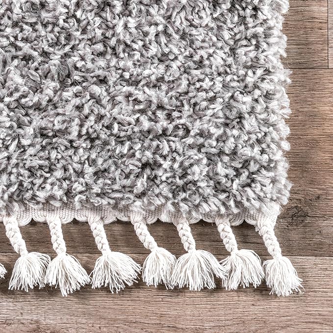 nuLOOM Neva Modern Tasseled Shag Accent Rug, 2x3, Grey